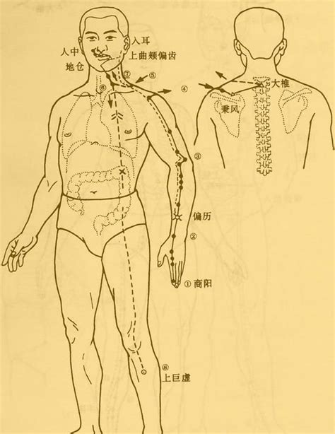 十二經絡口訣|老中醫5分鐘教你看懂12經絡，最簡單的十二經絡講。